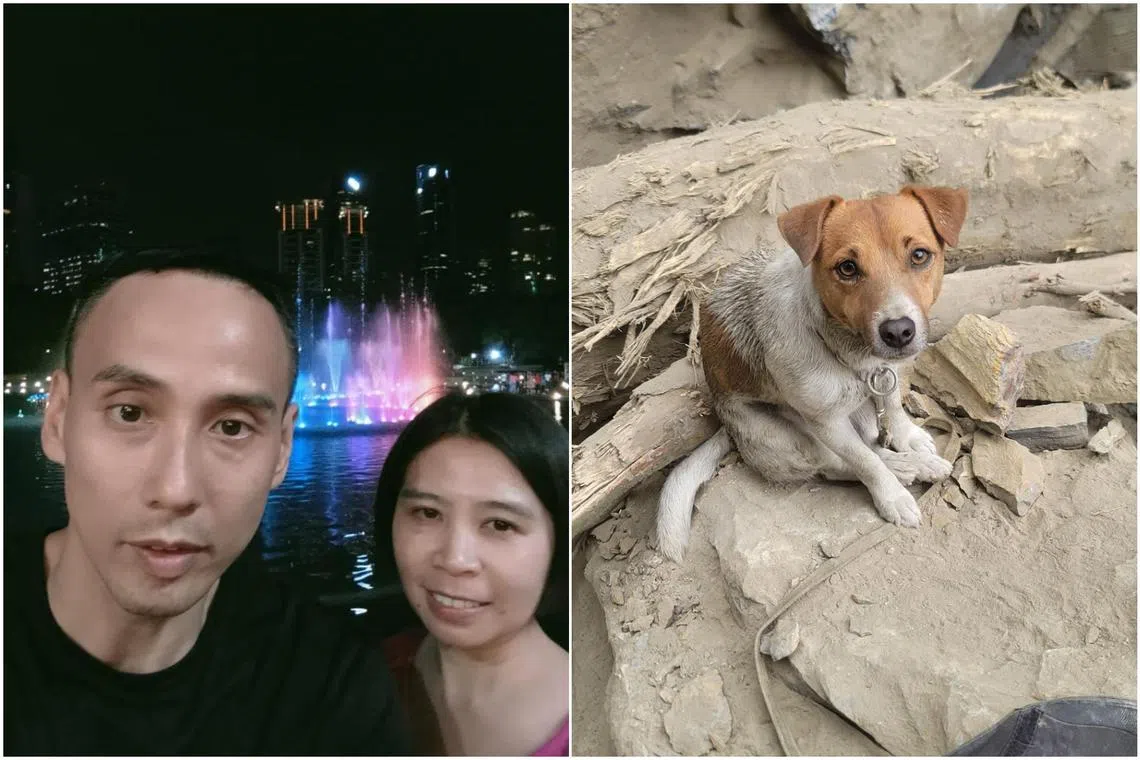 Seven rescue officers and three canines are involved in searching for the couple, identified as Mr Sim Hwee Kok and Ms Neo Siew Choo.