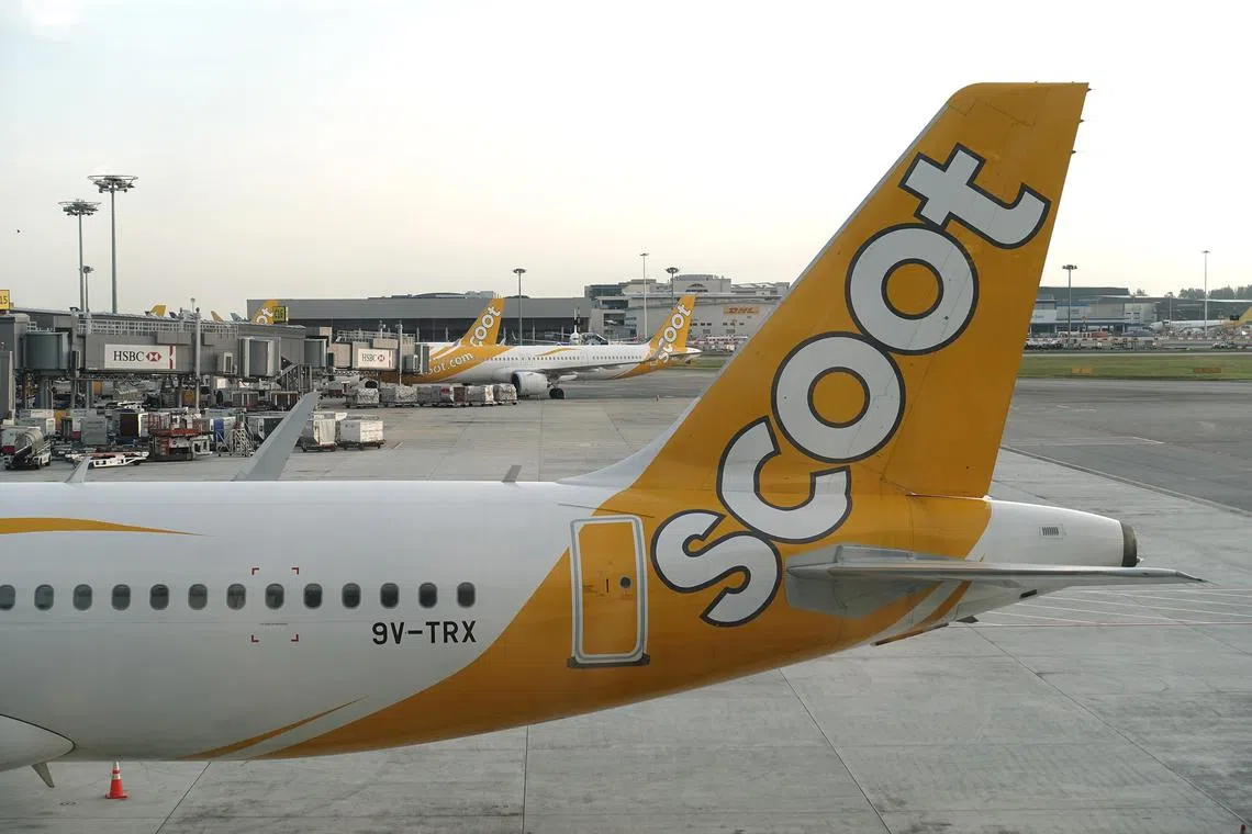 Scoot airplanes at Singapore's Changi Airport T1 on March 24, 2023. Can be used for stories on transport, air transport, aeroplane, budget airline

(Pls note that photos were taken through a window, so there may be reflections from artificial light sources)