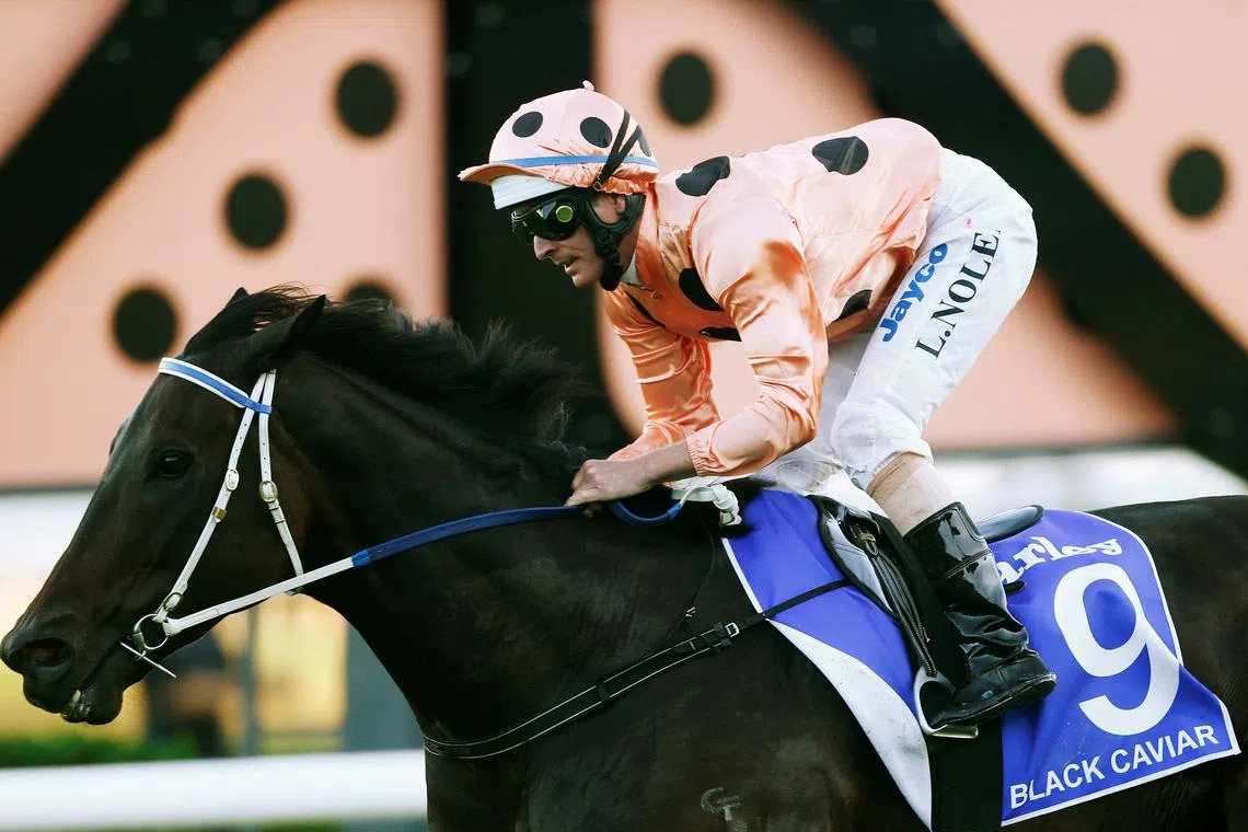 FILE PHOTO: Luke Nolen  rides Black Caviar to win the TJ Smith Stakes at Royal Randwick racecourse in Sydney April 13, 2013. REUTERS/Daniel Munoz/File Photo