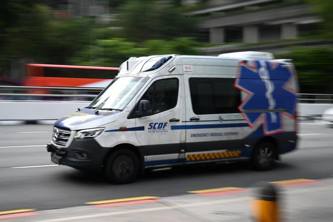 These callers were among around 2,500 people, most of whom had called NurseFirst directly, The Straits Times has found out.