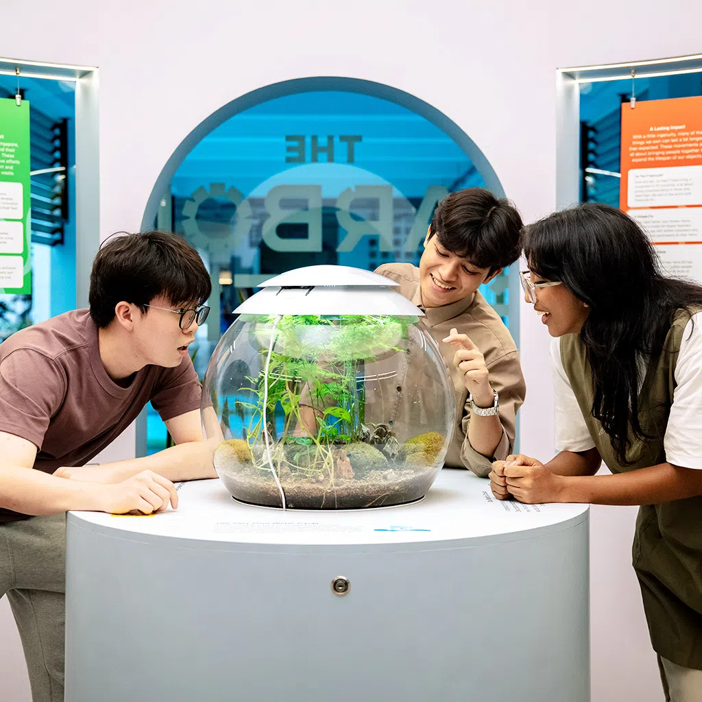 At The Carbon Gallery, climate action comes alive through exhibits that reveal how daily choices impact the planet.