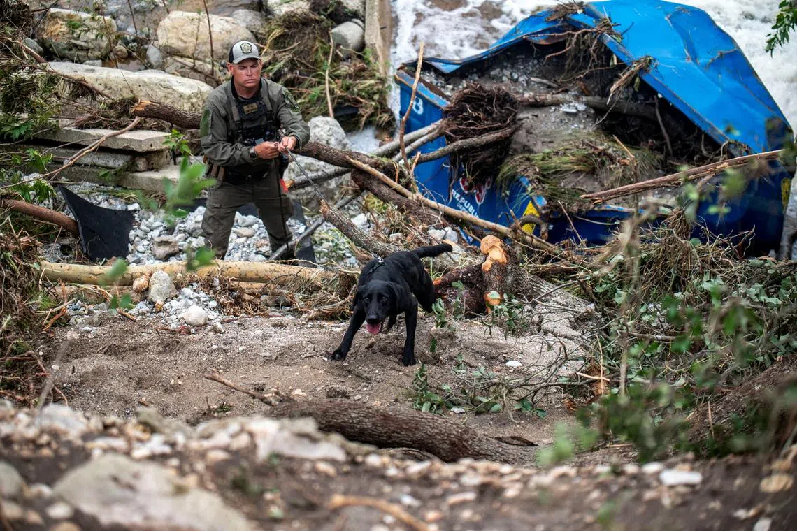 A search dog operates at Camp Mystic after deadly flooding in Kerr County, Texas, U.S., July 5, 2025. REUTERS/Sergio Flores