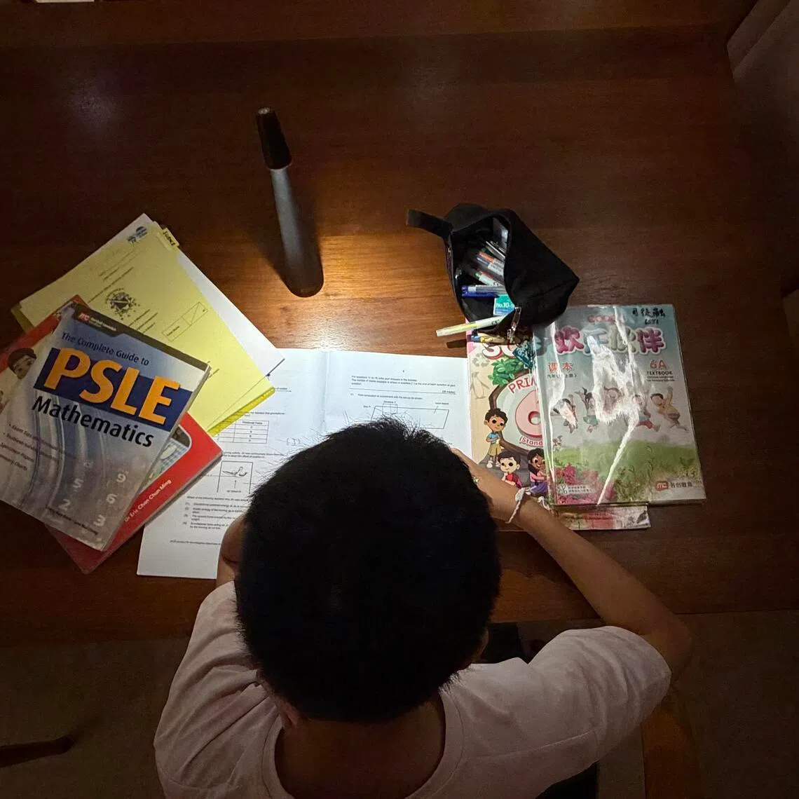 Experts suggest pupils can try methods such as spaced repetition and active recall, and interleaving.