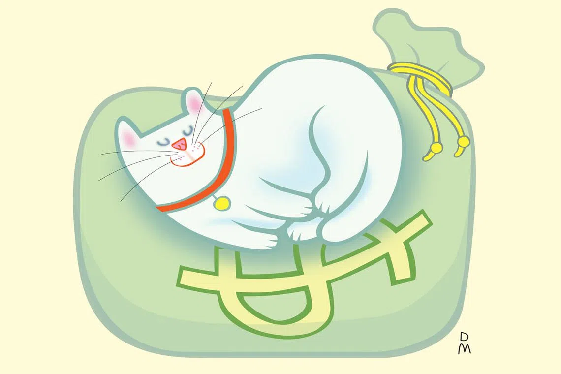 Even the kindest, most generous aunties morph into hard-nosed gangsters when it comes to their bequests, says the writer.