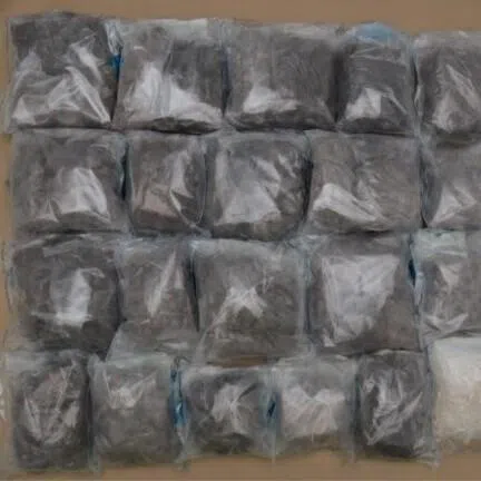 A total of 25 bundles believed to contain controlled drugs were found. 