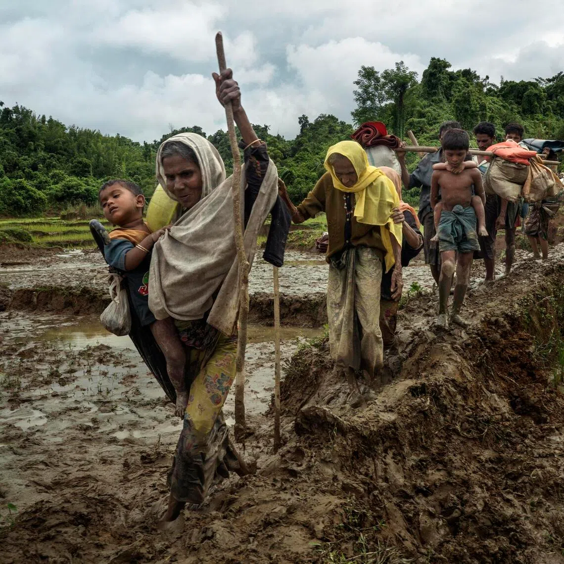 Rohingya refugees fleeing violence in Myanmar cross the border into Bangladesh. 