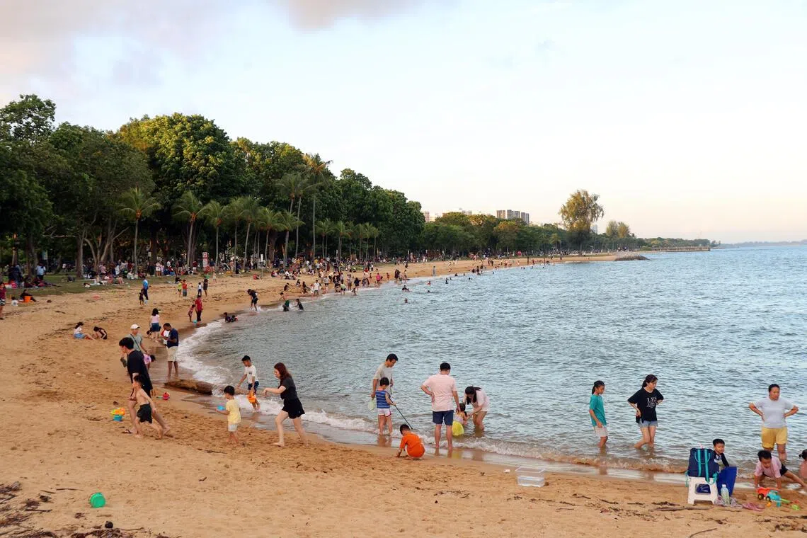 The public is advised against swimming and engaging in water contact activities at the beach section of East Coast Park Area D.