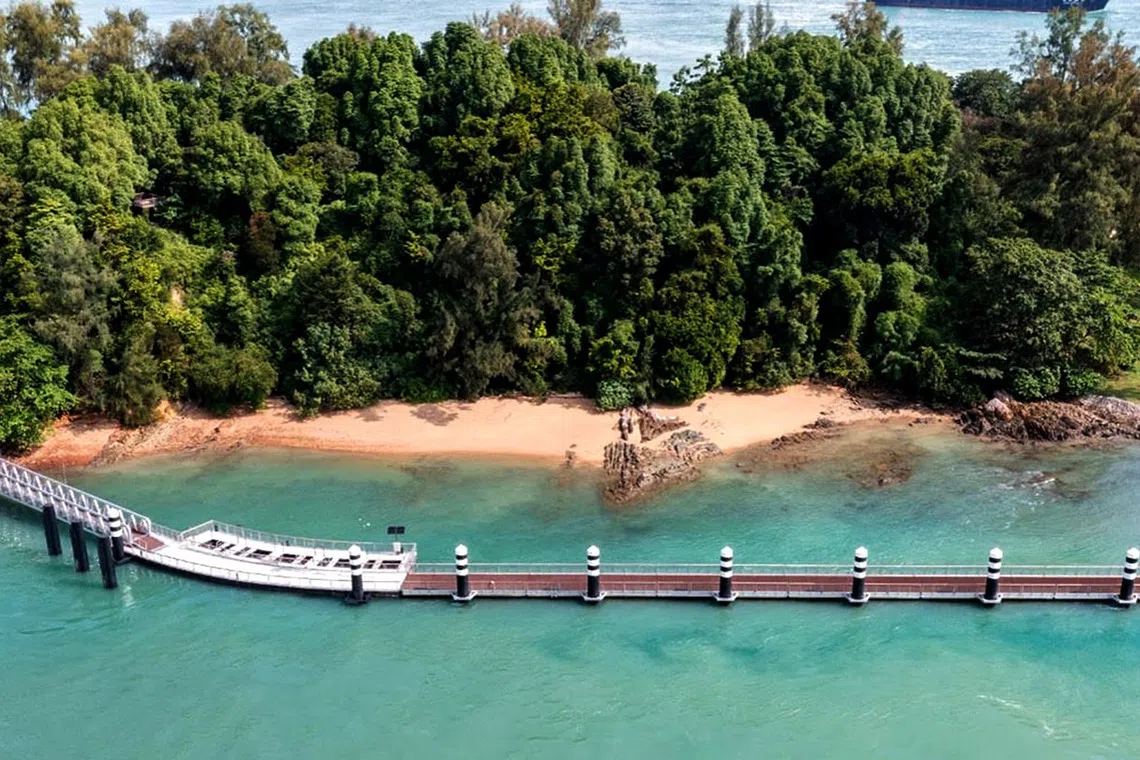 auhope26 - Aerial view of Floating Boardwalk (Credit - NParks)