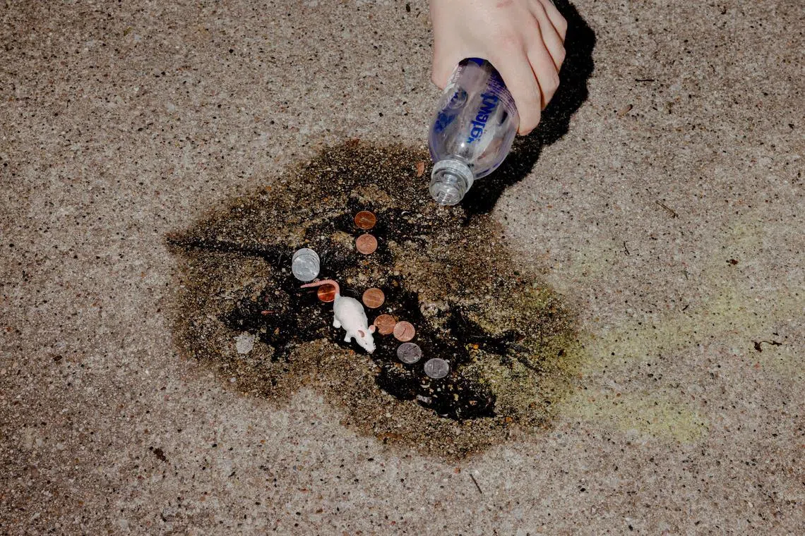 To better see the outline, water is poured on the rat-shaped impression that has become a minor social media sensation, attracting coins, a rubber rat, and other memorial offerings, in a sidewalk along Roscoe Street on the North Side of Chicago.