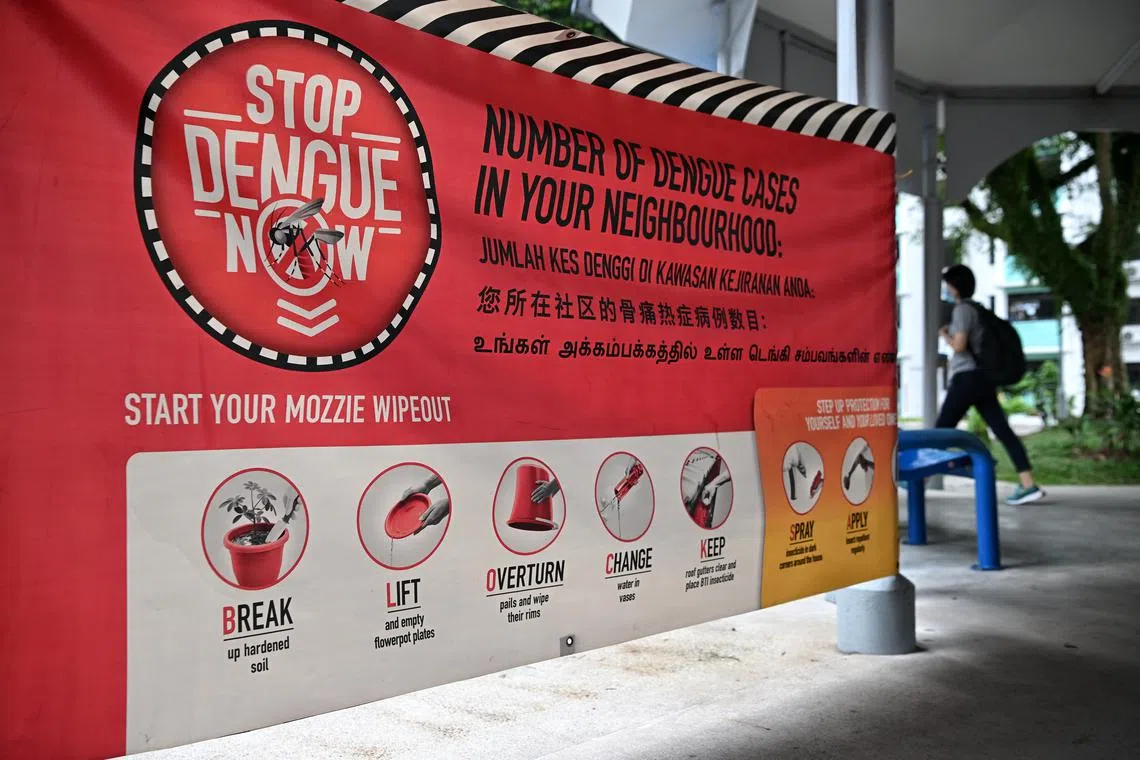 The dengue case tally in 2023 stood at 9,949, which was far lower than the 32,173 cases recorded in 2022.