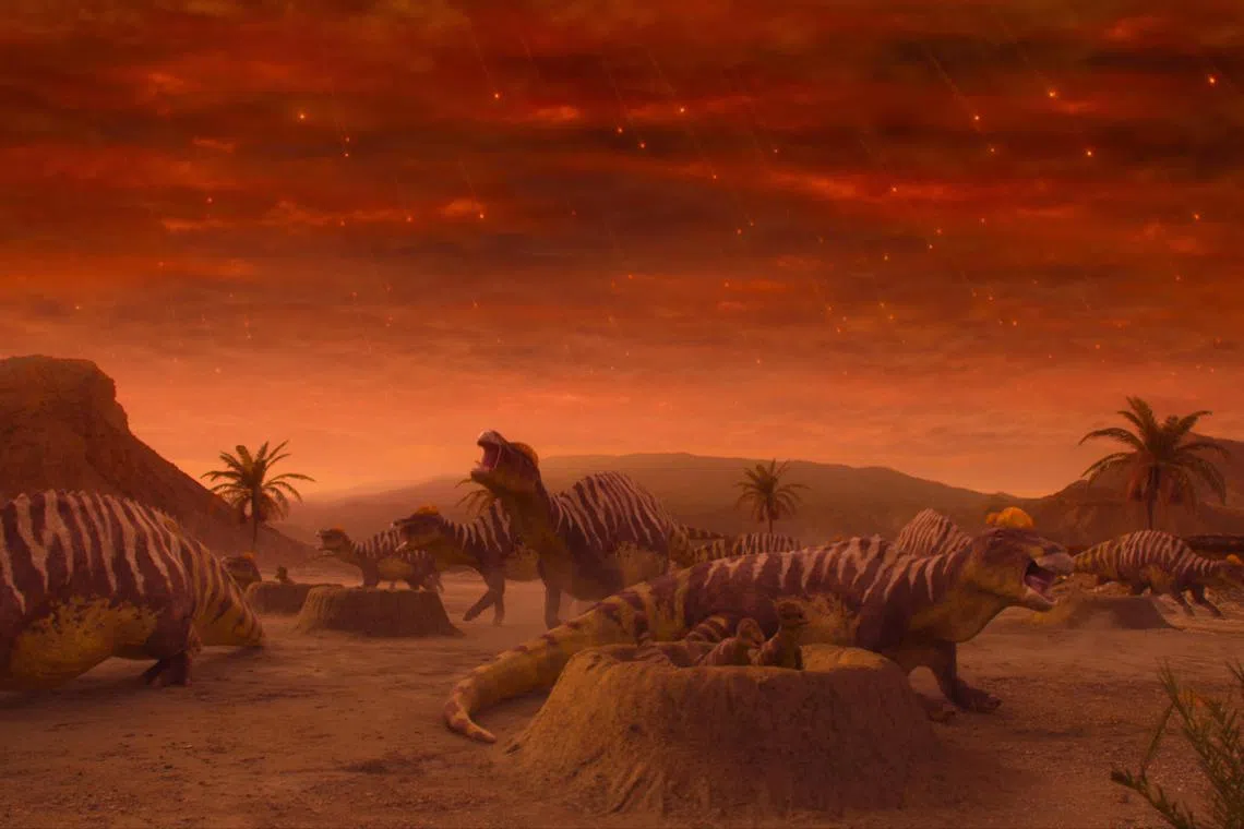 nytmorgan29 - Life On Our Planet

source/copyright: Netflix
free for publicity use