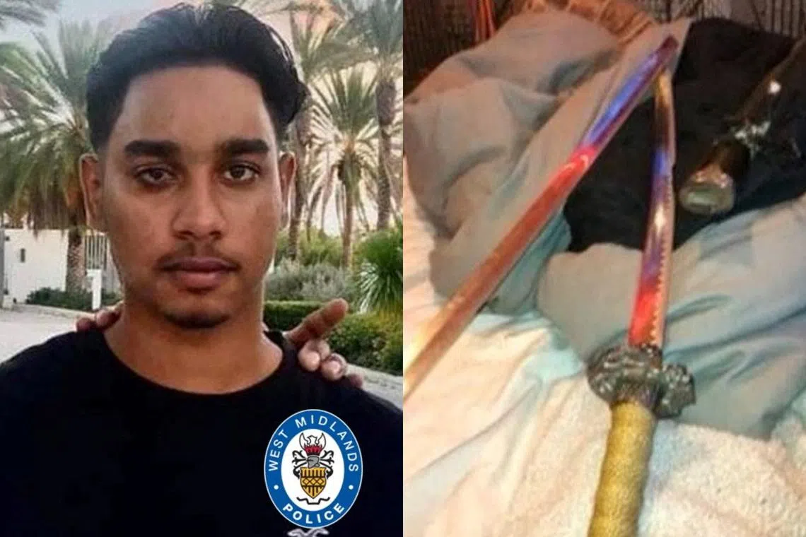 Shawn Seesahai was stabbed in the back, legs and skull during the attack. Police found a video featuring knives (right) on one of the boys' mobile devices.