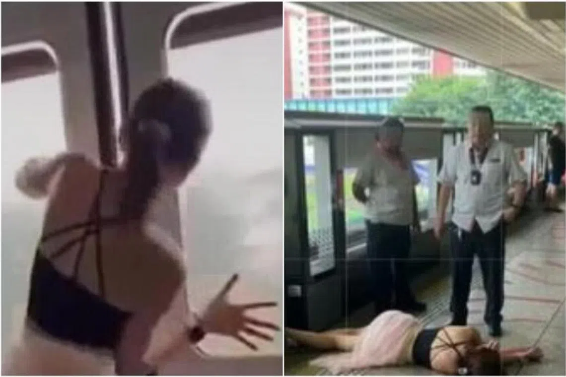 Vanessa Wang Zi Qi pleaded guilty to two counts of being a public nuisance and one count of voluntarily causing hurt.