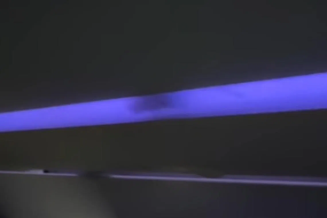 A large rat was spotted scurrying across the ceiling lighting fixtures near the overhead bins of a JetBlue flight from Los Angeles to New York.