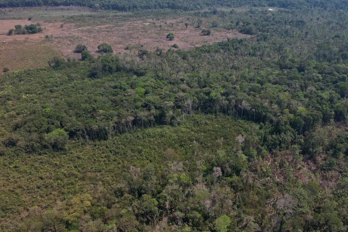 FILE PHOTO: A drone view shows a deforested plot of Brazil's Amazon rainforest in the municipality of Humaita, Amazonas state, Brazil, August 7, 2024. REUTERS/Adriano Machado/File Photo