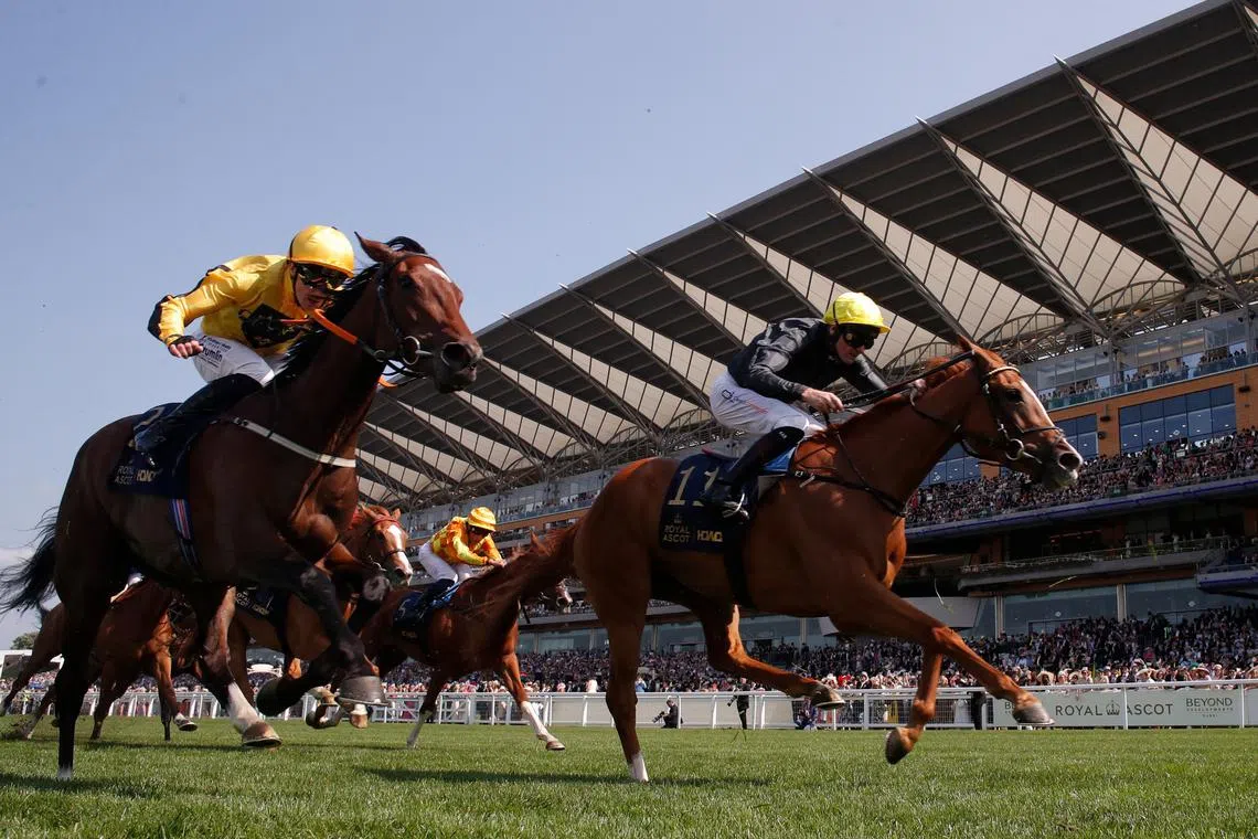 Horse Racing - Royal Ascot 2025 - Ascot Racecourse, Ascot, Britain - June 19, 2025 Third placed Catalina Delcarpio ridden by William James Lee in action with second placed Understudy ridden by Robert Havlin during the 15:40 Ribblesdale Stakes Action Images via Reuters/Andrew Couldridge
