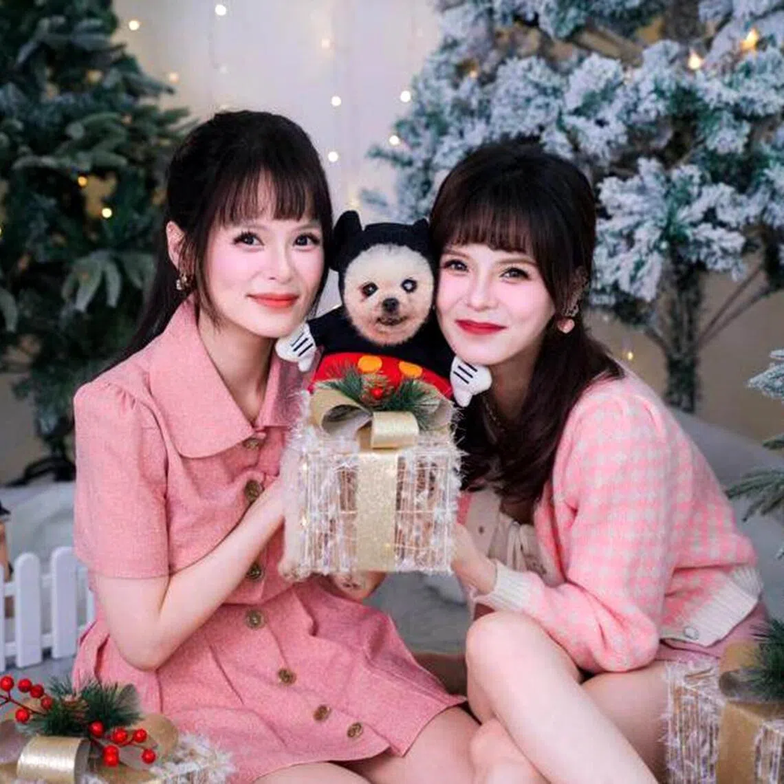 Actresses Jayley (left) and Hayley Woo are pawrents to a 14-year-old male Pomeranian named Buibui. 