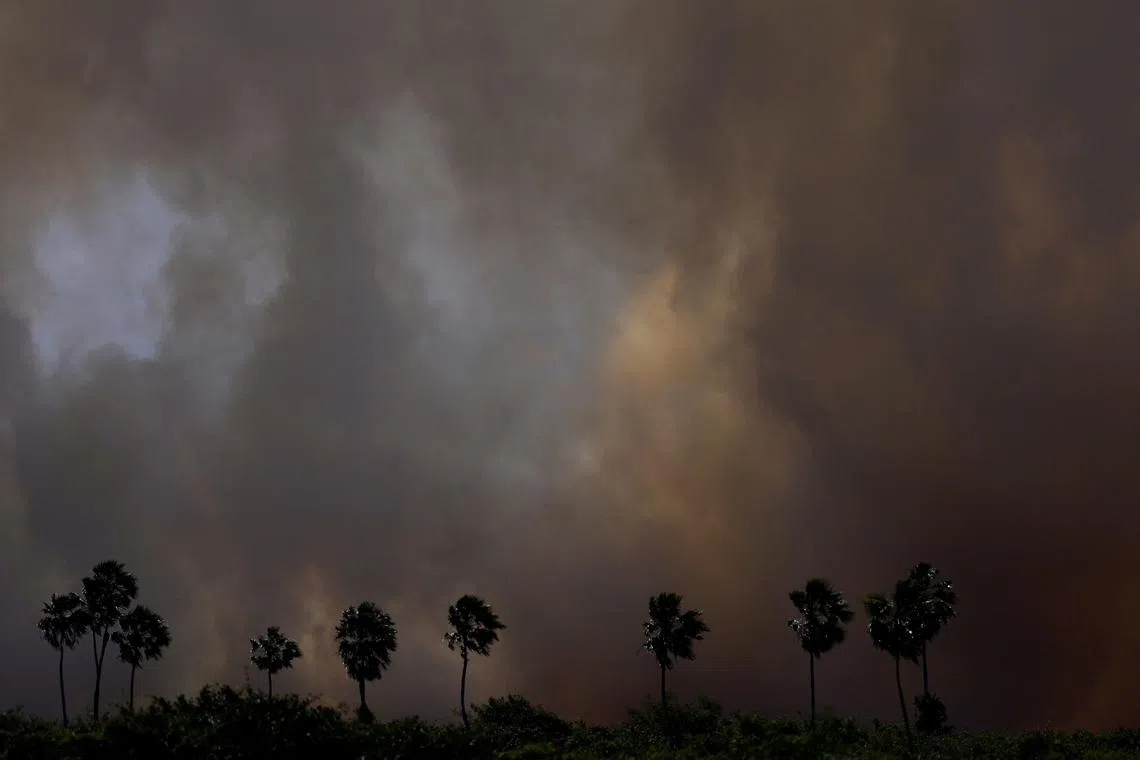Smoke from a fire rises into the air in the Pantanal, the world's largest wetland, in Corumba, Mato Grosso do Sul state, Brazil, June 10, 2024. REUTERS/Ueslei Marcelino     TPX IMAGES OF THE DAY