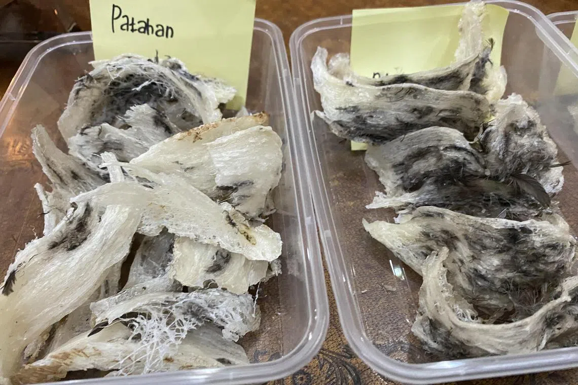 The Veterinary Services Department (DVS) announced the temporary suspension of bird’s nest product exports, including raw-cleaned and raw-uncleaned edible bird’s nest, to China.