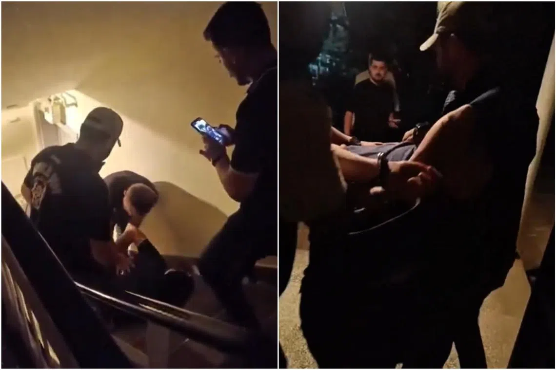 Interior Minister Ali Yerlikaya shared a video on X showing police officers detaining cartoonist Dogan Pehlevan.