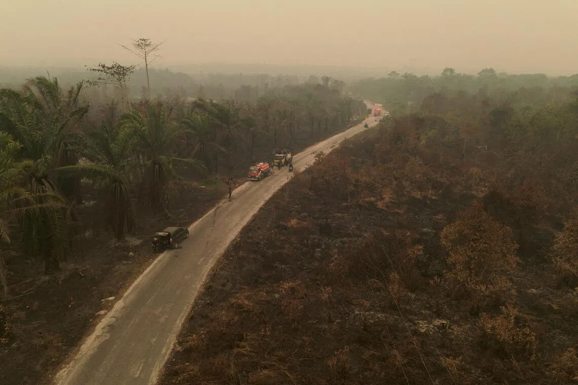The haze has disrupted everyday life, agricultural activity and transport in Indonesia.