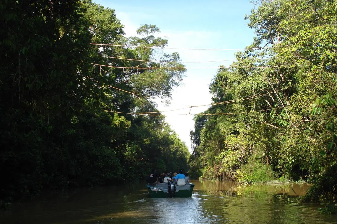 The Singaporean hiker had gone alone for a hike in Malaysia’s Sandakan forest reserve when he got lost.