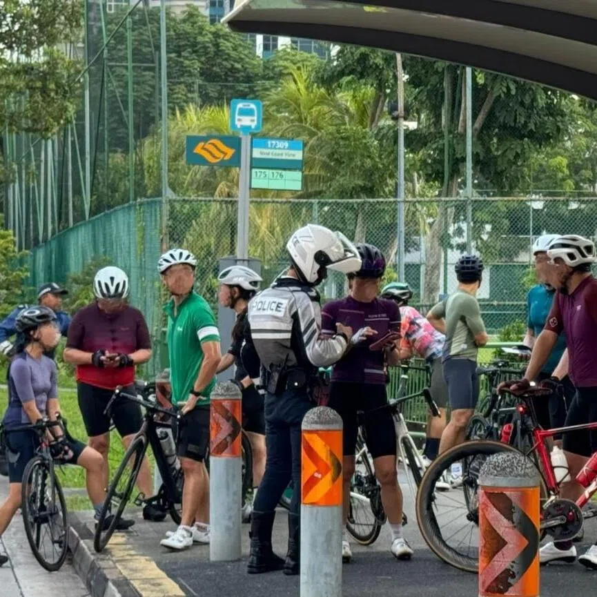 Errant on-road cyclists previously caught in joint operations by the Traffic Police and Land Transport Authority in 2024.