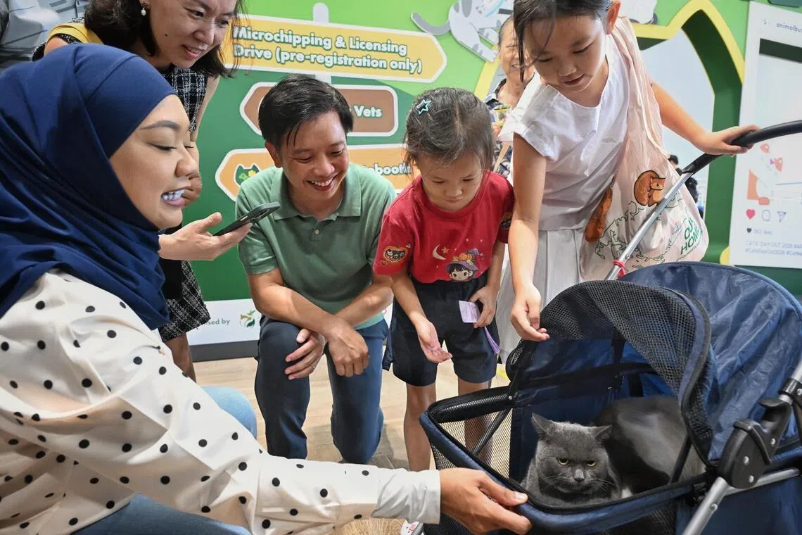 Alvin Tan, Minister of State for National Development and Trade and Industry, (third from left) joins visitors as they admire a cat at the Cat’s Day Out on July 18, 2026.