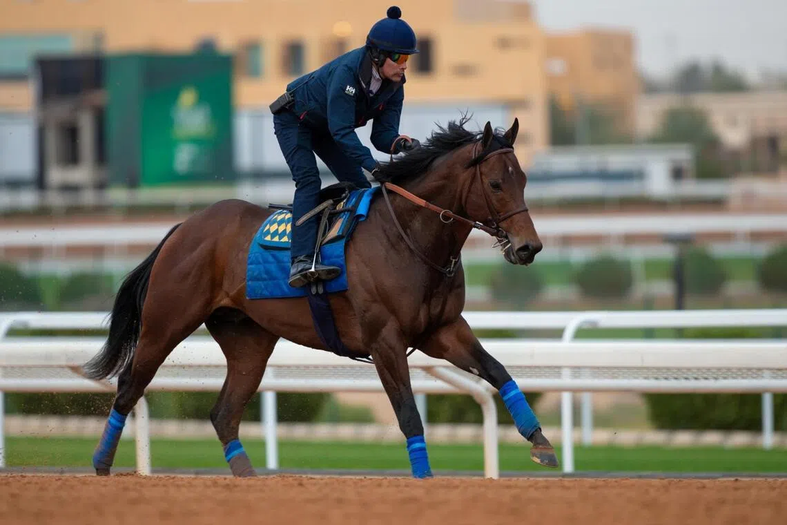 Bob Baffert hungry for Saudi Cup glory