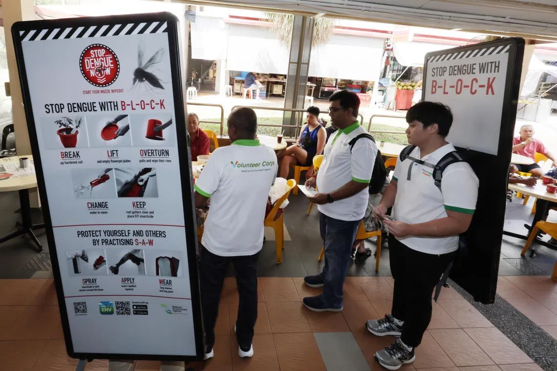 As at March 25, seven people have died of dengue so far in 2024, said the National Environment Agency.