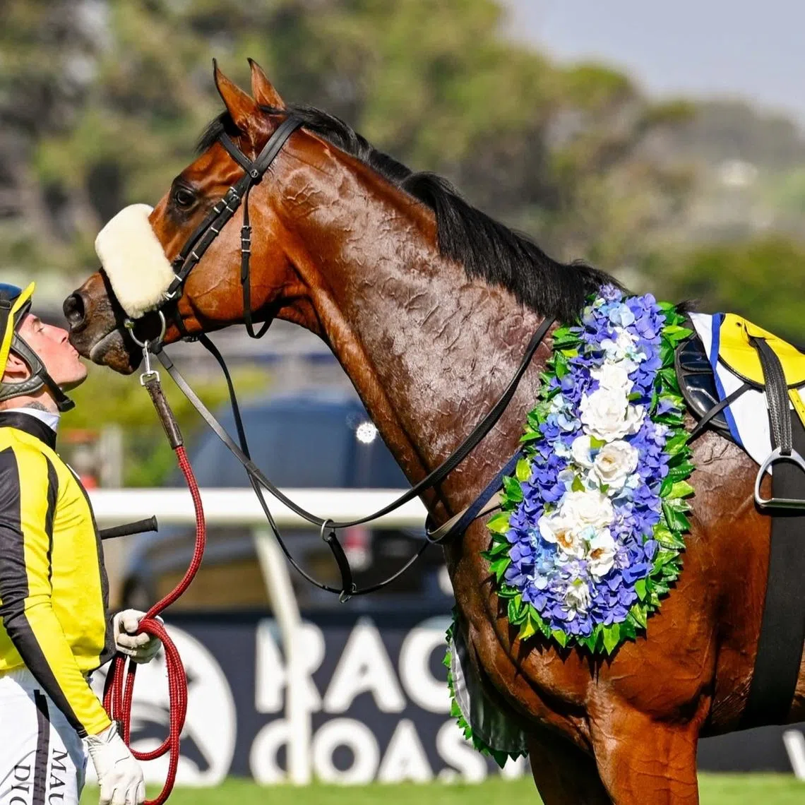 Jockey Craig Zackey planting a kiss on The Real Prince's muzzle after the pair combined to land the Grade 1 King's Plate (1,600m) at Kenilworth on Jan 10.