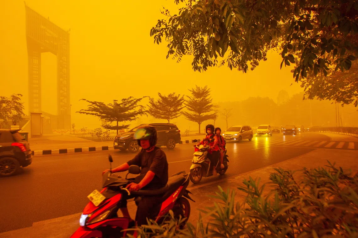 epa13303233 Motorists ride through thick haze from wildfires in Palangkaraya, Central Kalimantan, Indonesia, 14 October 2026. Civil society groups in Borneo have filed a class-action lawsuit demanding that the government address the annual wildfires. El Nino-fueled wildfires in Indonesia's Kalimantan and Sumatra have caused thick haze across the region, resulting in hazardous air quality in neighboring Malaysia and Singapore. EPA/GENDES