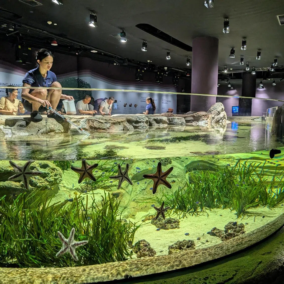 Big Day Out participants will explore the Singapore Oceanarium to complete challenges and pick up clues to solve a mystery.
