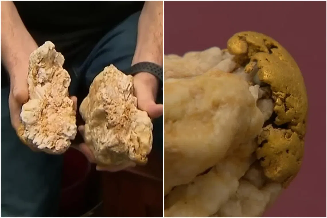 The amateur gold prospector, who did not want to be identified, discovered the 4.6kg rock in Victoria’s “Golden Triangle”.