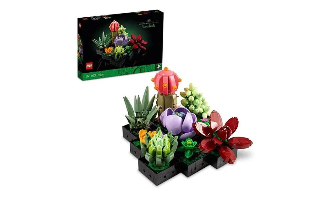 LEGO The Botanical Collection Succulents 10309