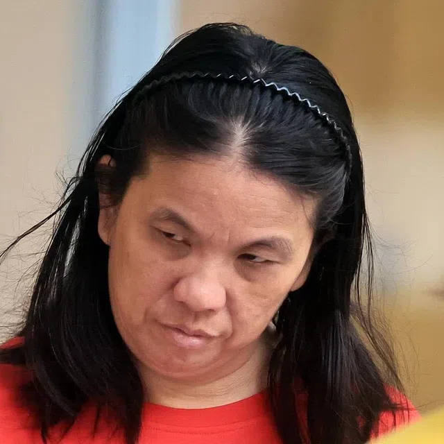 Lim Sok Lay's offences include multiple counts of assault.