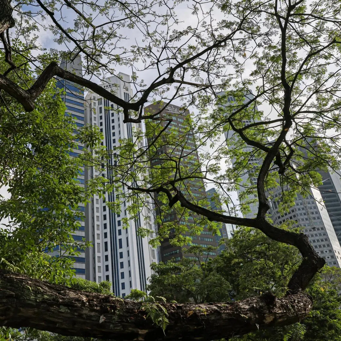 Singapore’s 60th birthday this year is an opportune time to reflect on how the nation has grown, and how the country’s SMEs will carry us forward.