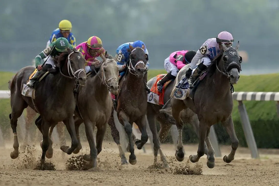 Jun 10, 2023; Elmont, New York, USA; Arcangelo (3) with jockey Javier Castellano up wins the 155th running of the Belmont Stakes at Belmont Park. Mandatory Credit: Brad Penner-USA TODAY Sports/File Photo