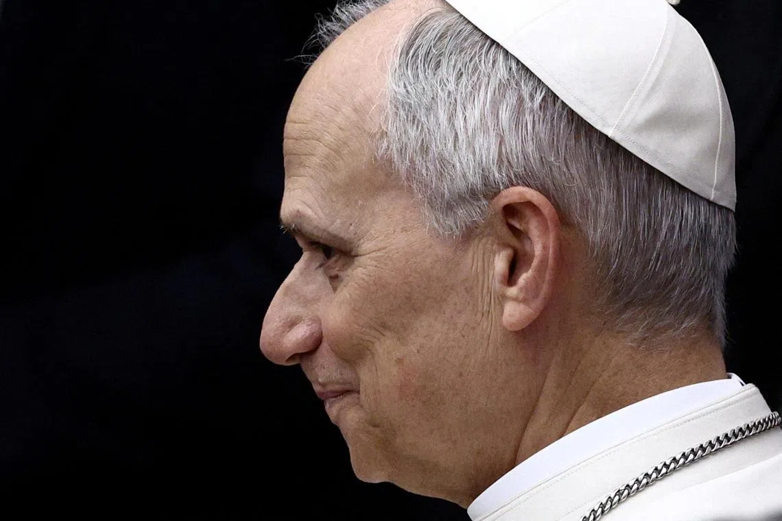 Genealogists released a report on May 15 revealing the background of the Pope’s grandparents.