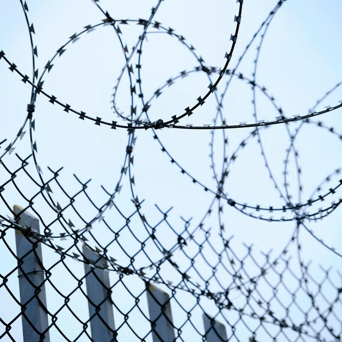 The detainees to be released in June include 63 foreigners, including 56 men and seven women of different nationalities, Vietnam's deputy minister of public security said.