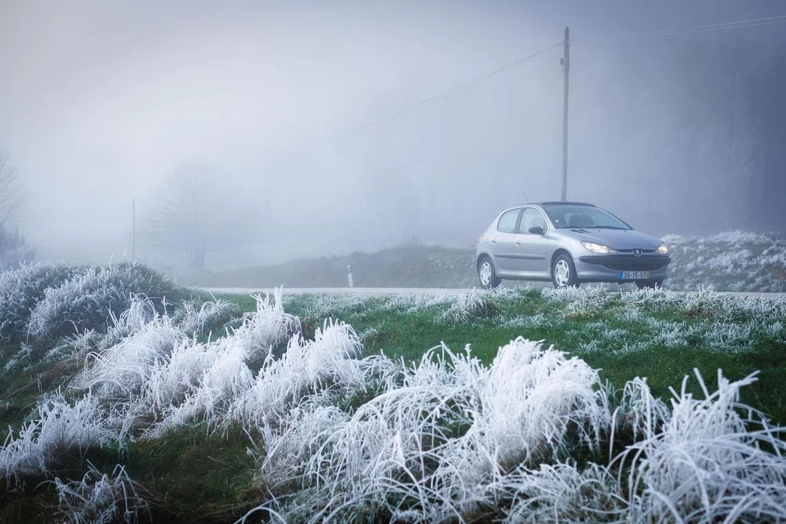 A car passing by frozen vegetation in Vila Pouca de Aguiar, Northern Portugal on Dec 18. 