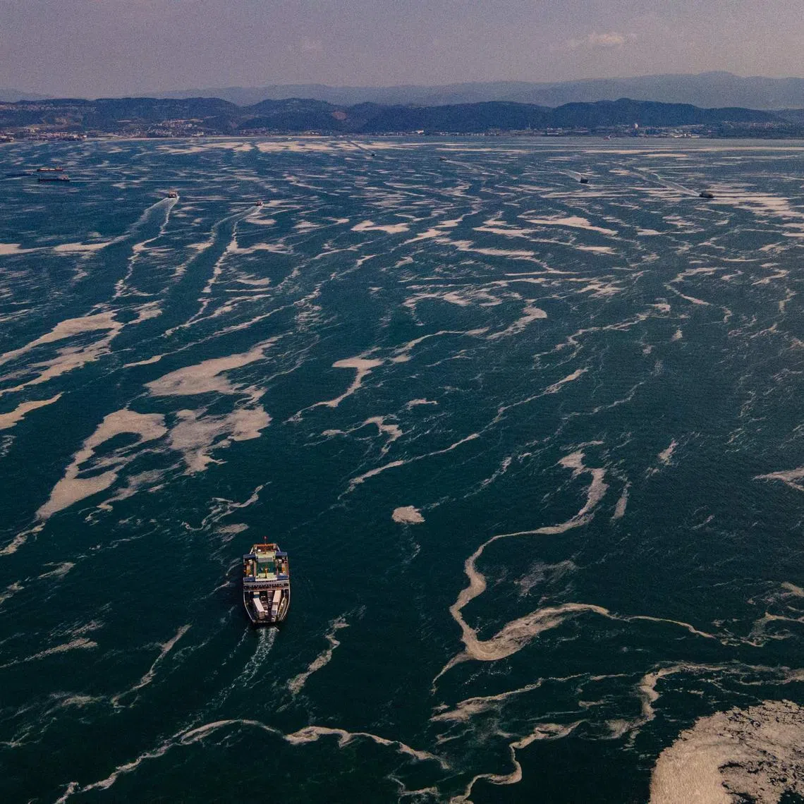 (FILES) This file photo taken on June 12, 2021 shows boats sailing among the Marmara sea covered with sea snot, a jelly-like layer of slime that develops on the surface of the water due to the excessive proliferation of phytoplankton, gravely threatening the marine biome, in the Darica district of Kocaeli, Turkey. - Climate change heats the seas, plankton are on the move -- with potentially profound consequences for both ocean life and humans. Plankton -- organisms carried on the tides -- are the foundation of the marine food web. But they are also part of an intricately balanced system that helps keep us all alive. (Photo by Yasin Akgul / AFP)