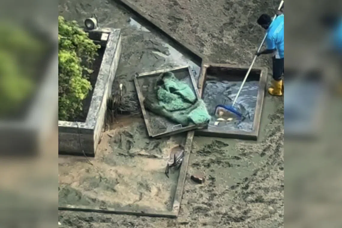 Fish were still alive and struggling on the bottom of the drained pool.