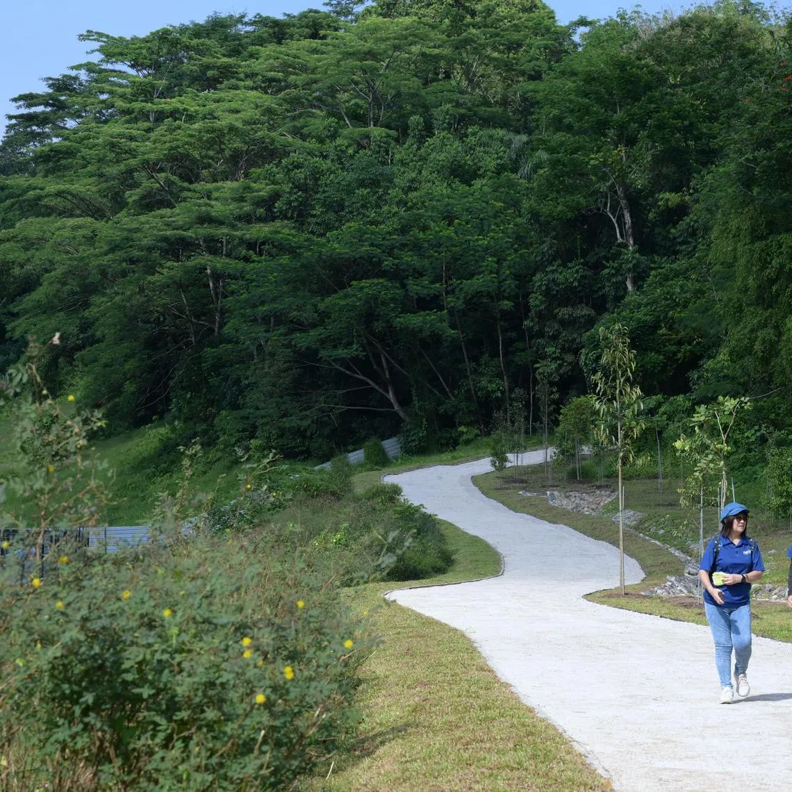 Guests at Holland Green Linear Park located within the Clementi Nature Corridor on Aug 31, 2024.