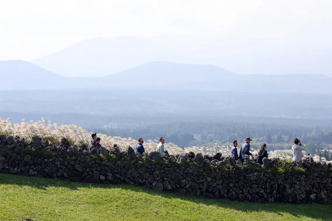 Mosquito samples collected in August on Jeju Island (above) included a species that normally lives in tropical or subtropical regions of the world.