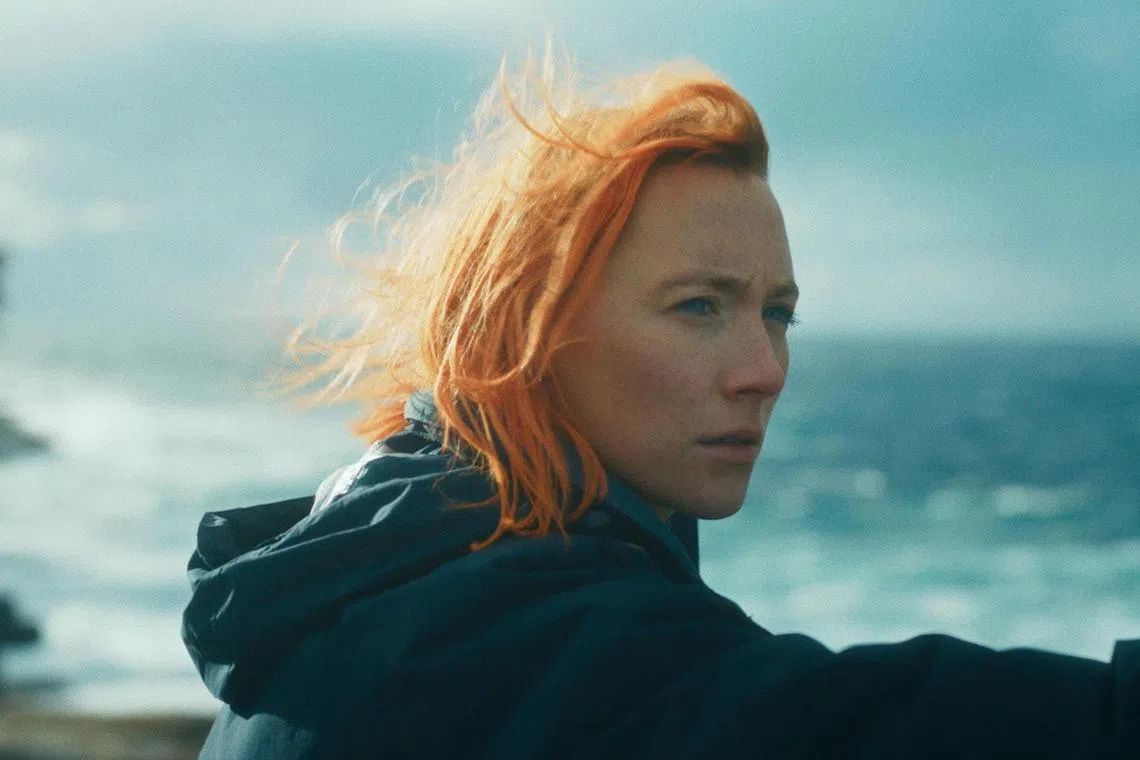 nytsaoirse17 - Saoirse Ronan in The Outrun

Source/copyright: The Projector