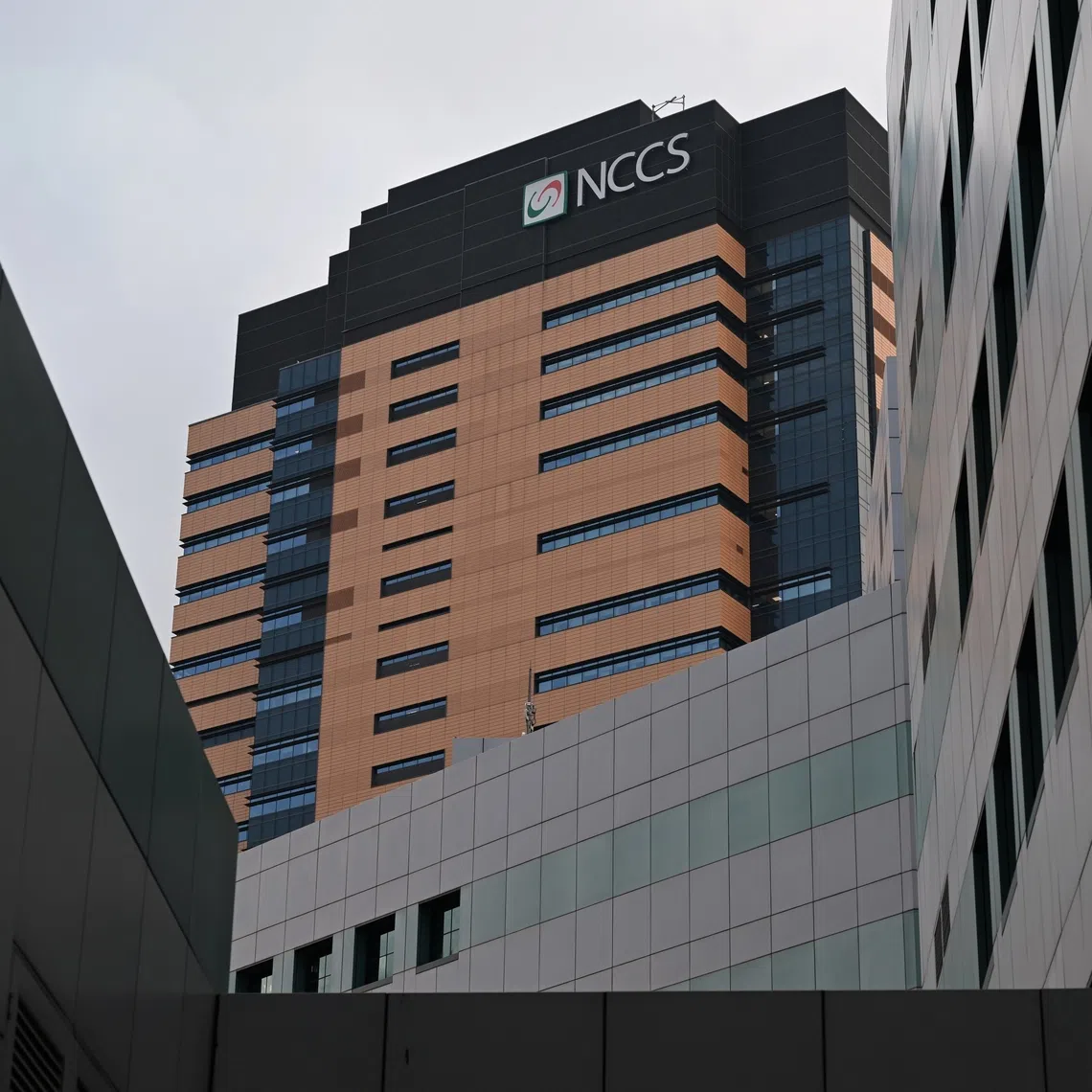 Besides the construction of the National Cancer Centre Singapore building, 11 other Ministry of Health development projects failed to declare savings after major construction tenders closed.