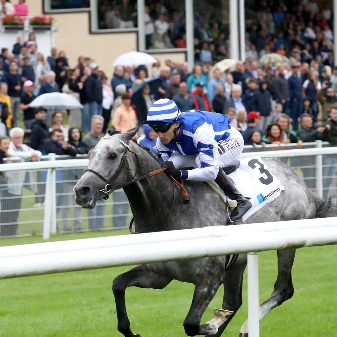 Sir Tommy Cen (Aureline Lemaitre) scoring an easy win in the Group 3 Badener Mile (1,600m) in Baden-Baden on July 4. The Group 1 Prix Jacques Le Marois (1,600m) in Deauville on Aug 16 is a different kettle of fish, but the Spanish connections are game.


PHOTO: WETTSTAR.DE/MARC RUHL
