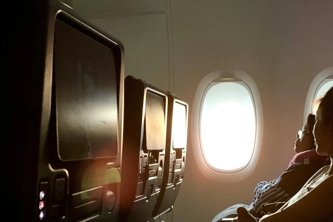 Teen files complaint in South Korea over ‘violent’ in-flight movies