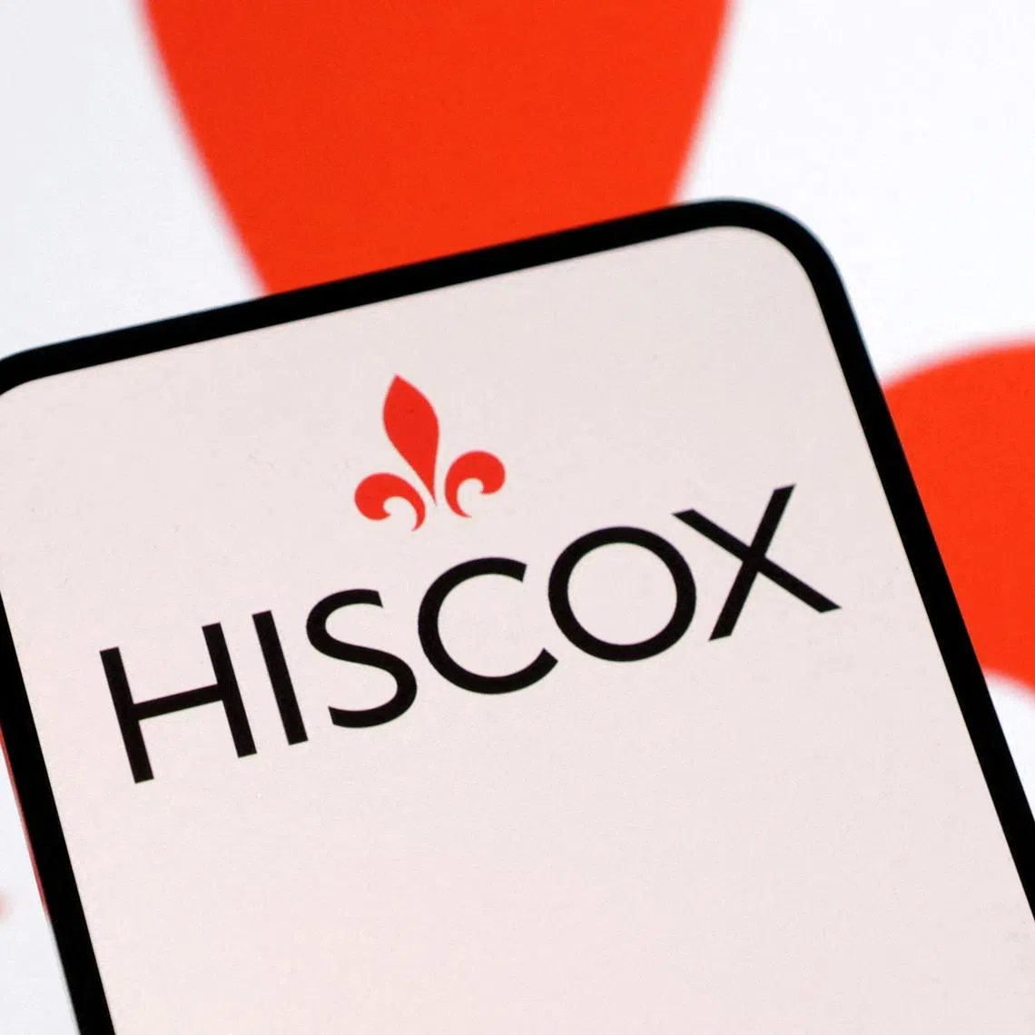 FILE PHOTO: Hiscox logo is seen in this illustration taken February 3, 2025. REUTERS/Dado Ruvic/Illustration/File Photo